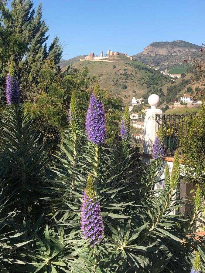 アロラ La Barranca De La Barca Bed & Breakfast エクステリア 写真