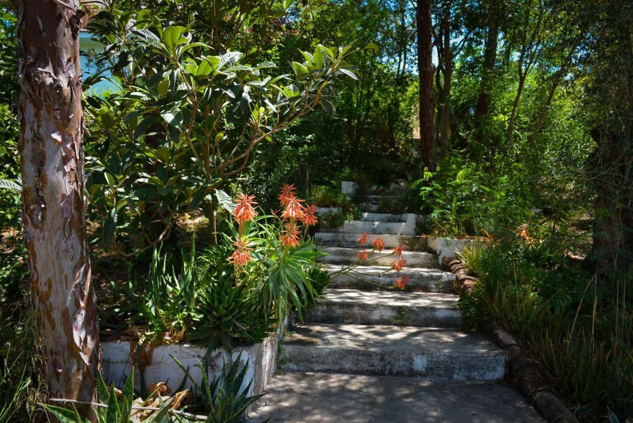 アロラ La Barranca De La Barca Bed & Breakfast エクステリア 写真